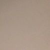 i_piccinini